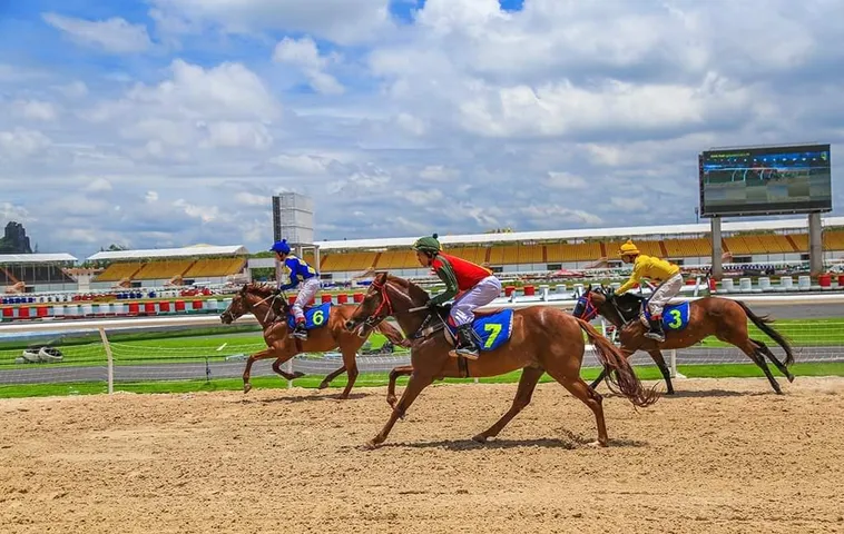 Tìm Hiểu Cá Cược Đua Ngựa Nohu52 Kịch Tính Và Thú Vị Nhất 2025