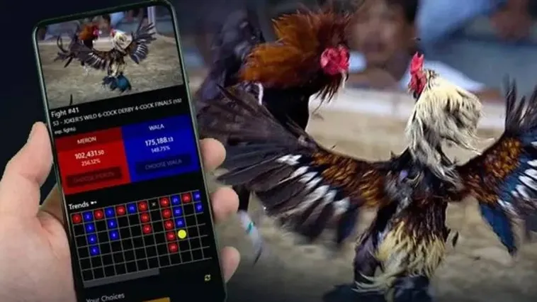 Đá Gà Nohu52 Hấp Dẫn Tại Casino Online Đỉnh Cao